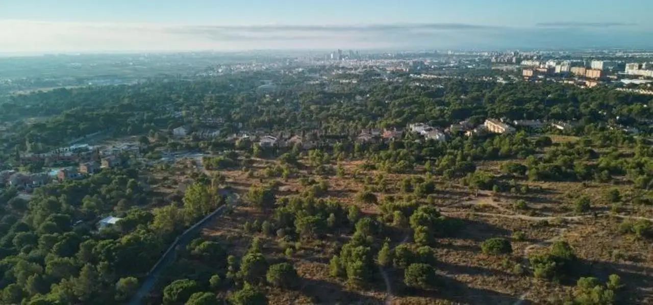 d3d356e49a781c9b119f_xlarge